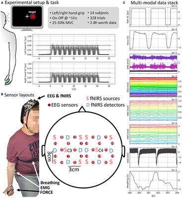 HYGRIP: Full-Stack Characterization of Neurobehavioral Signals (fNIRS, EEG, EMG, Force, and Breathing) During a Bimanual Grip Force Control Task